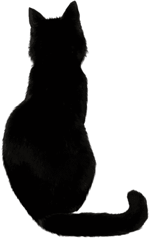 Copyright Free Black Cat, HD Png Download PNG