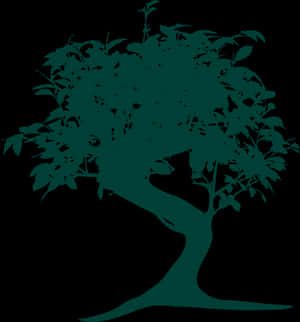 Silhouetteof Bonsai Tree PNG