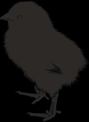 Silhouetteof Chick PNG
