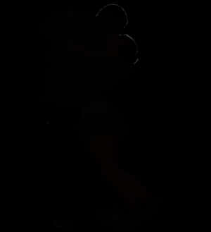 Silhouetteof Couple Embracing PNG image with transparent background