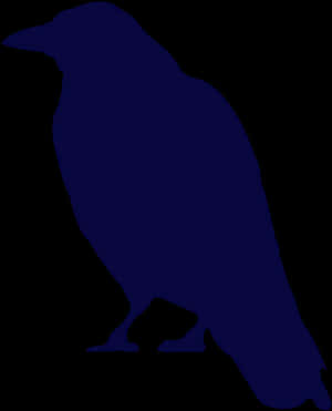 Silhouetteof Crow Standing PNG image with transparent background