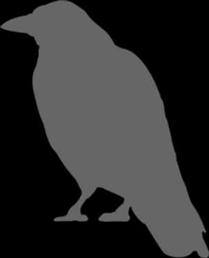 Silhouetteof Crow Standing PNG image with transparent background