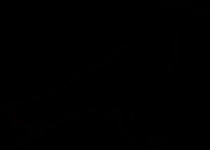 Silhouetteof Crow PNG image with transparent background