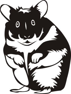 Hamster, Rodent, Mammal, Animal, Pet, No Background, HD Png Download PNG image with transparent background