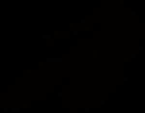 Silhouetteof Cyclistin Motion.jpg PNG with transparent background