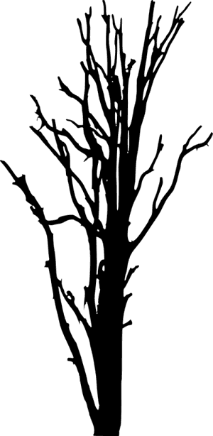 Portable Network Graphics, HD Png Download PNG image with transparent background