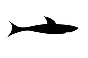 Silhouetteof Fish PNG Image