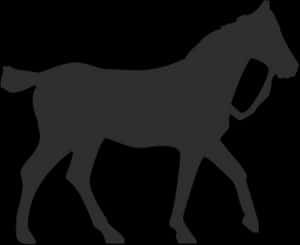 Silhouetteof Horse Walking PNG image with transparent background