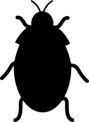 Silhouetteof Insect PNG Image