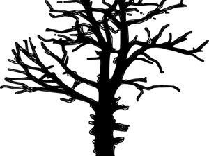 Transparent Leafless Tree Png - Make A Program On Google Docs, Png Download PNG image with transparent background