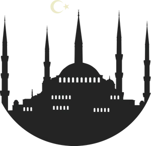 Silhouetteof Mosqueat Night PNG Image