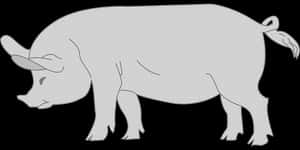 Silhouetteof Pig PNG image with transparent background