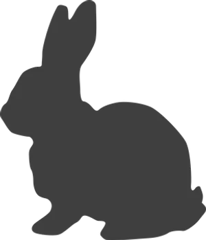 Silhouetteof Rabbit PNG Image