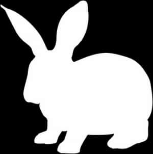 Silhouetteof Rabbit PNG image with transparent background
