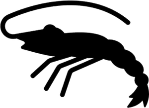 Transparent Shrimp Food Clipart, Shrimp Food Png Image - Cartoon Shrimp Transparent Background, Png Download PNG image with transparent background