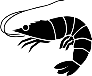 Shrimp Icon - Shrimp Black And White, HD Png Download PNG with transparent background
