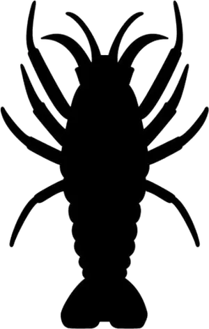 Silhouetteof Shrimp PNG Image