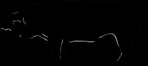 Silhouetteofa Pigon Black Background PNG image with transparent background