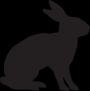 Silhouetteofa Rabbit PNG image with transparent background