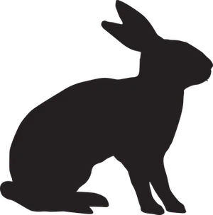 Silhouetteofa Rabbit PNG Image