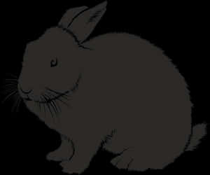 Silhouetteofa Rabbit PNG image with transparent background
