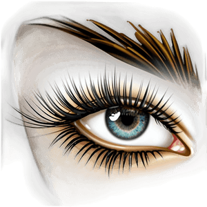 Silk Eyelashes PNG 13 PNG