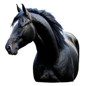 Silky Mane Black Horse Png 06262024 PNG Image