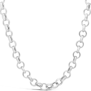 Silver Chain Necklace Isolated PNG Image