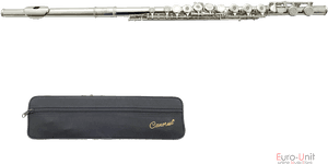 Silver_ Flute_with_ Case PNG image with transparent background
