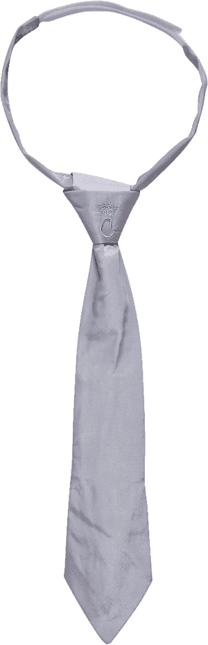 Tie Png Image - Collar And Tie Png, Transparent Png PNG