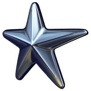 Silver Star Icon PNG 33 PNG