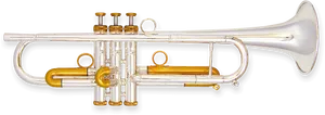 Silverand Gold Trumpet PNG Image