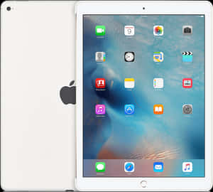 Silveri Padwith Icons Displayed PNG image with transparent background