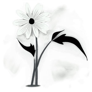 Simple Black and White Flower PNG 05252024 PNG