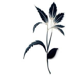 Simple Black and White Flower PNG 8 PNG