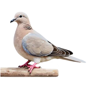 Simple Dove Clipart Png 06262024 PNG Image