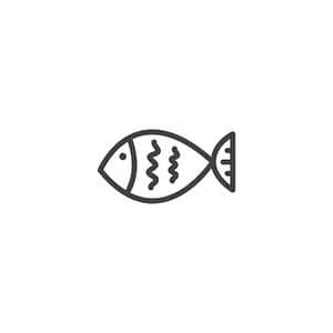 Simple Fish Icon PNG image with transparent background