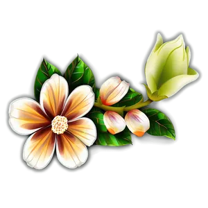 Simple Flower Drawing Png Eco11 PNG Image