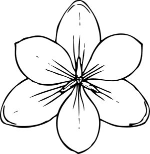 Transparent Hawaiian Flowers Png - Flower Top View Drawing, Png Download PNG image with transparent background