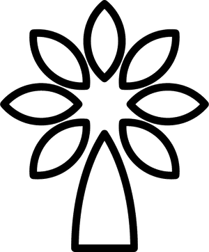 Plant Flower Outline - Beuti Skincare, HD Png Download PNG image with transparent background