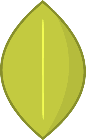 Transparent Leafy Png - Illustration, Png Download PNG image with transparent background