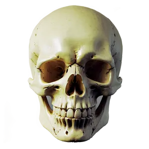 Simple Skull Artwork Png Fnc PNG Image