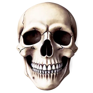 Simple Skull Tattoo Design Png Vne65 PNG Image