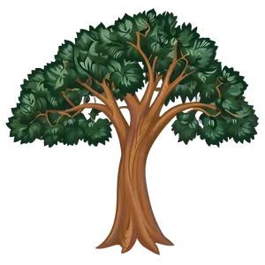 Simple Tree Drawing Png 73 PNG Image