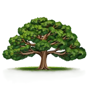 Simple Tree Drawing Png Hrm PNG Image