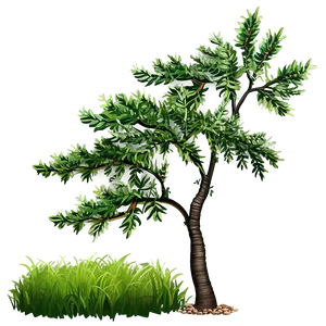 Simple Tree Elevation Design Png 27 PNG Image