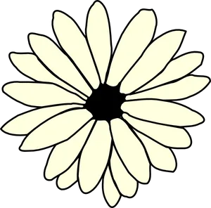 Simplified Daisy Illustration PNG Image