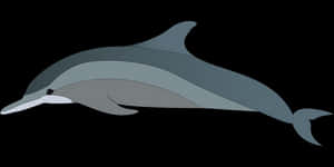 Simplified Dolphin Illustration PNG image with transparent background