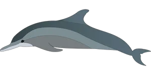 Simplified Dolphin Illustration PNG Image