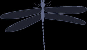 Simplified Dragonfly Silhouette PNG image with transparent background